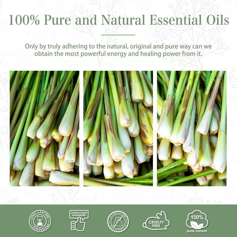 PHATOIL Citronella Essential Oil 100ML, Pure Premium Grade Citronella Essential Oils for Diffuser, Humidifier, Aromatherapy, Candle Making - Image 5