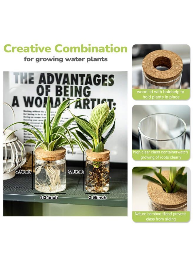 CHPINDAM 6.5 * 10 Flower vase and 8.5 * 10 vase,Plants Propagation Stations（4pcs） - Image 2