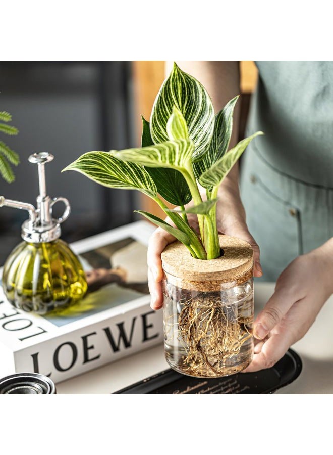 CHPINDAM 6.5 * 10 Flower vase and 8.5 * 10 vase,Plants Propagation Stations（4pcs） - Image 5