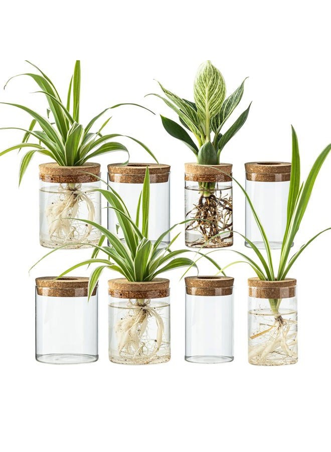 CHPINDAM 6.5 * 10 Flower vase and 8.5 * 10 vase,Plants Propagation Stations（4pcs） - Image 1