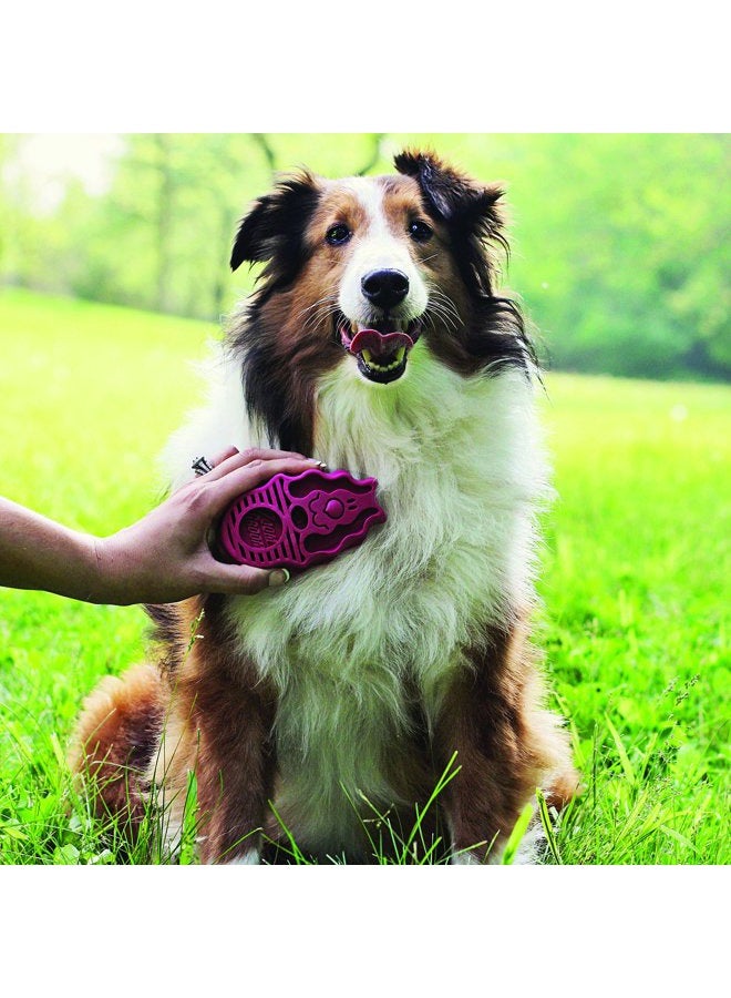 Kong Zoom Groom BoysenBerry L - Image 2