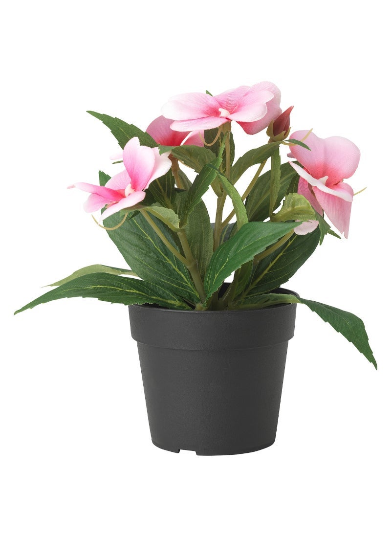 فيجكا نبات صناعي في أصيص داخلي/خارجي/زهري بلسم  الارتفاع 19 سم - Image 1