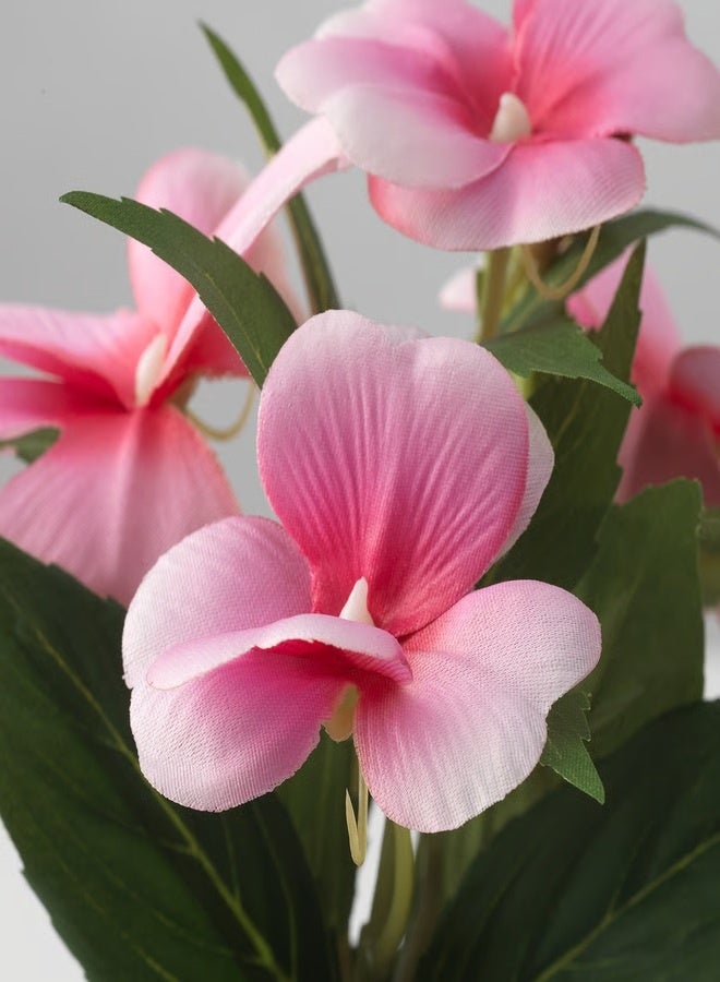 فيجكا نبات صناعي في أصيص داخلي/خارجي/زهري بلسم  الارتفاع 19 سم - Image 2