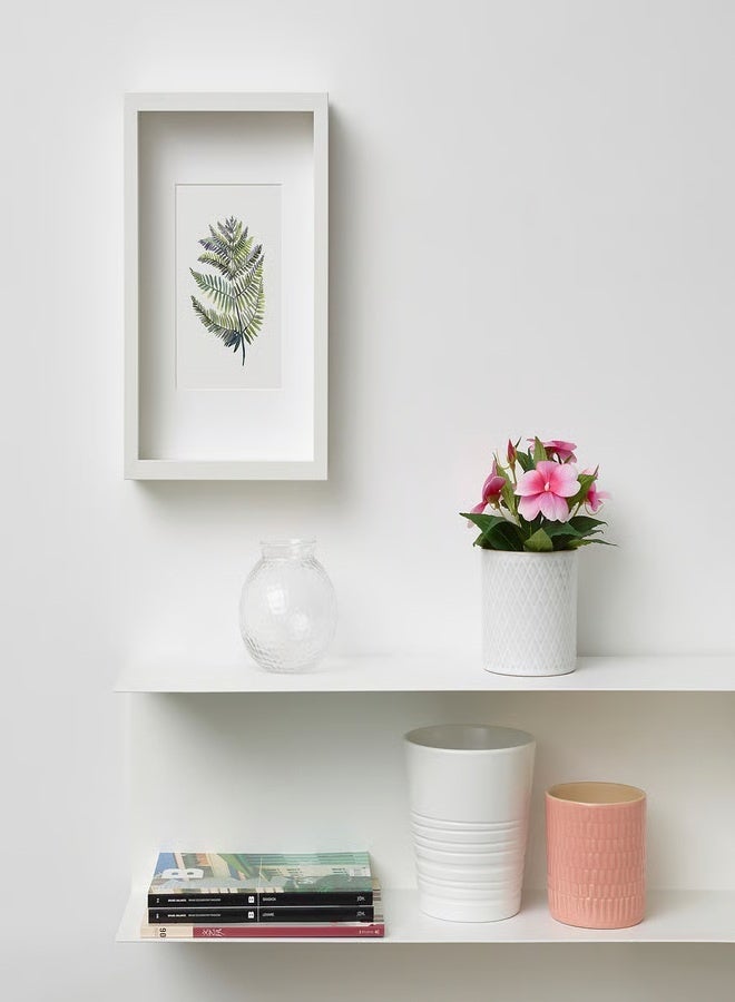 فيجكا نبات صناعي في أصيص داخلي/خارجي/زهري بلسم  الارتفاع 19 سم - Image 3