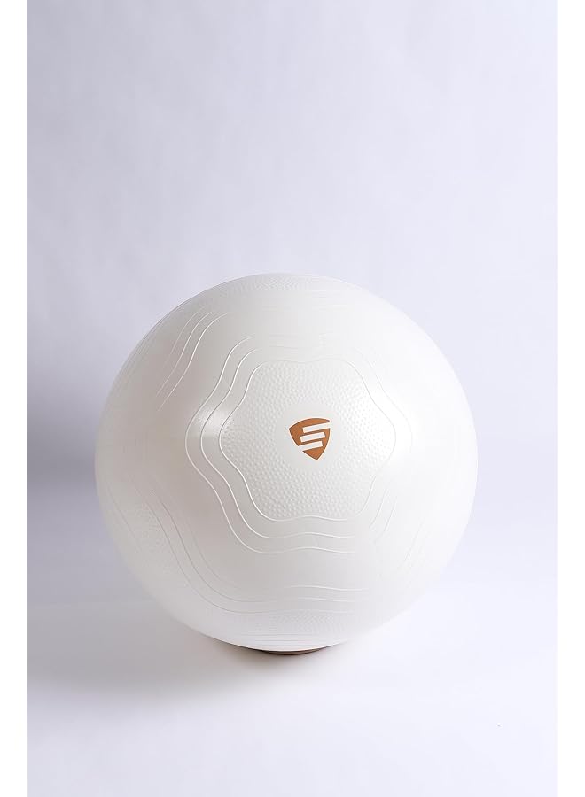 LivePro Exercise Ball 65 Wht - Image 5