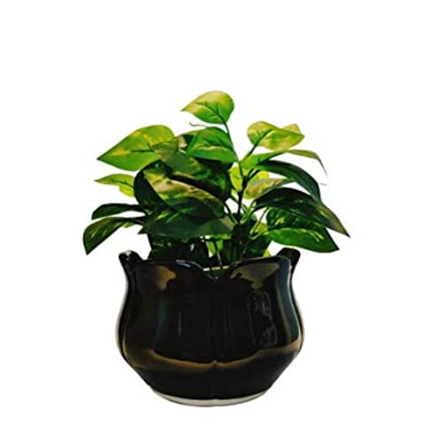 Niyara Lotus Shape Ceramic planters Pot for Indoor Outdoor Home,Garden Office Decor Balcony Flower Size- Medium 17 cm (Black) - Image 2