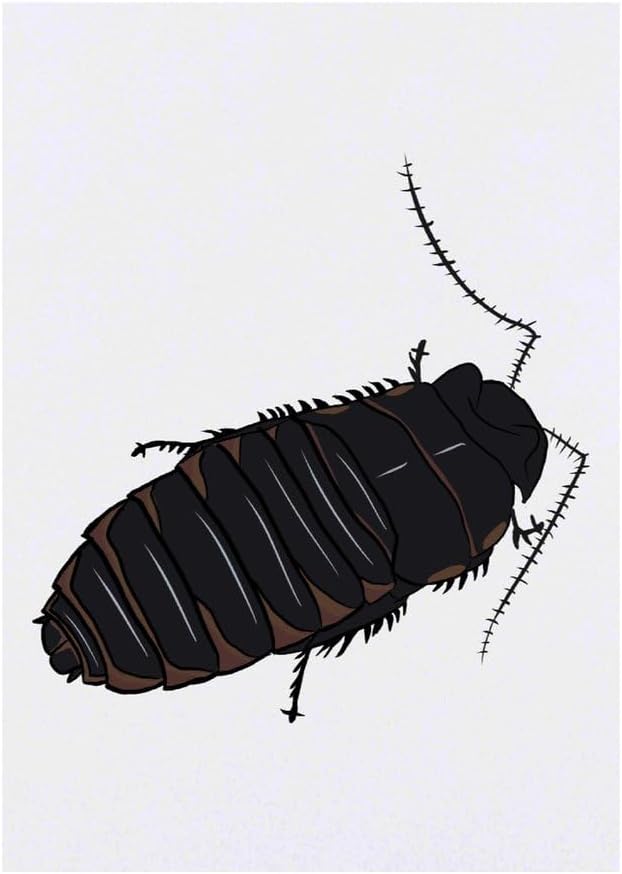 Curious Hissing Cockroach Temporary Tattoo Water Resistant SkinSafe NonToxic Transfer TO00074129