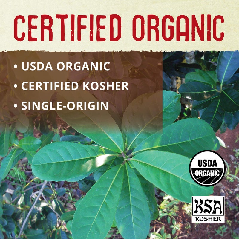 ECOTEAS Organic Yerba Mate Loose Leaf Tea - Natural Energy & Detox Herbal Tea - Coffee Alternative - Kosher, Non-GMO, Gluten-Free - Unsmoked Pure Leaf from Argentina, 1 lb (Pack of 1) - Image 4