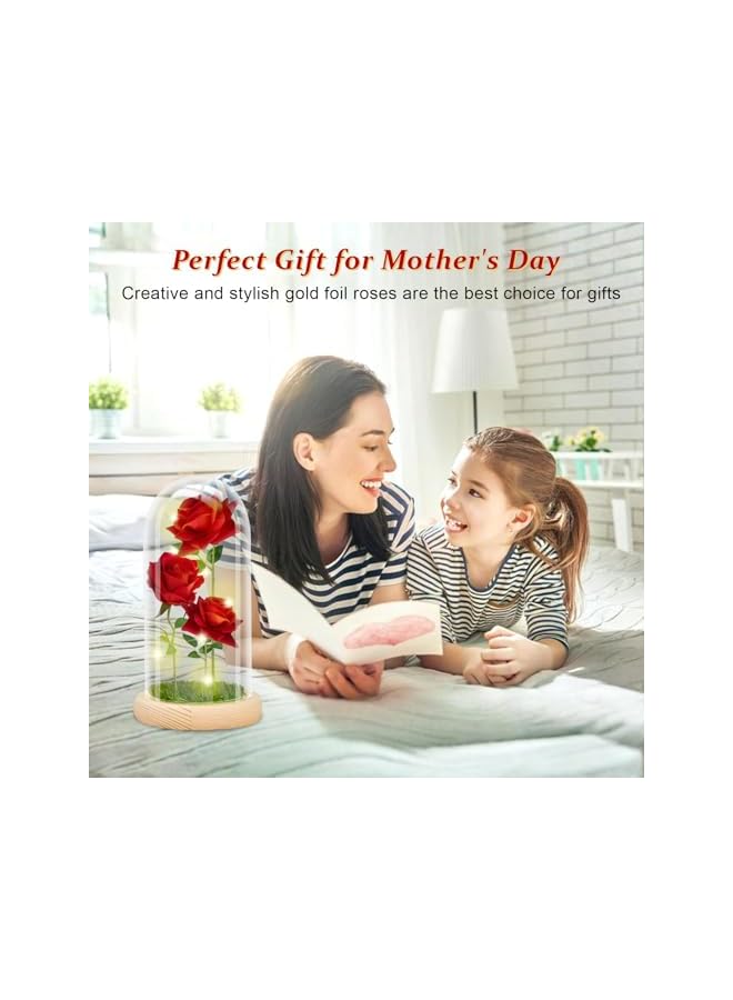 The Bros LED Eternal Rose in Glass Dome, Red Roses Gift Set for Women, Mother's Day, Birthday, Anniversary - Real Touch Artificial Flowers (Red) - Image 4