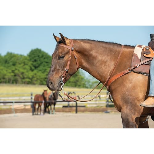 Weaver Leather unisex adult western-equestrian-style Stacy Protack b band, Brown, One Size US - Image 3