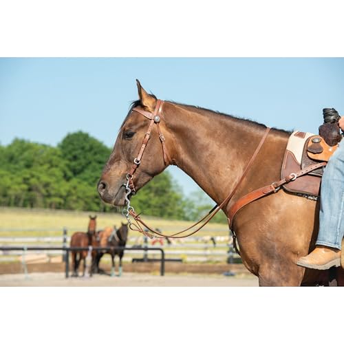 Weaver Leather unisex adult western-equestrian-style Stacy Protack b band, Brown, One Size US - Image 2