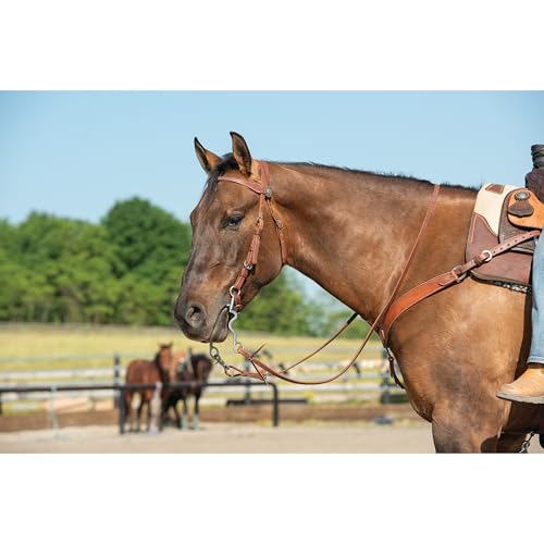 Weaver Leather unisex adult western-equestrian-style Stacy Protack b band, Brown, One Size US - Image 4