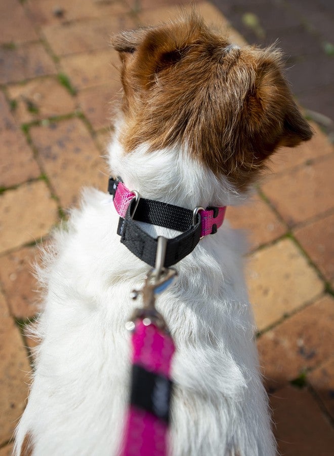 Rogz Control Martingale Web Collar Small - Pink - Image 4