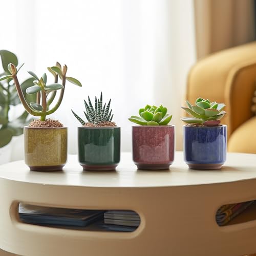 T4U 2.5 Inch Small Ceramic Succulent Planter Pot with Drainage Hole Set of 12, Ice Crack Glaze Plant Container for Cactus, Plant Lover Gifts for Women Mom Coworker Home Office Decor - Image 4