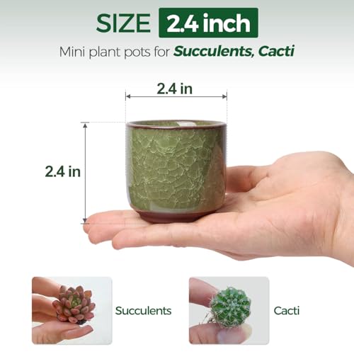 T4U 2.5 Inch Small Ceramic Succulent Planter Pot with Drainage Hole Set of 12, Ice Crack Glaze Plant Container for Cactus, Plant Lover Gifts for Women Mom Coworker Home Office Decor - Image 2