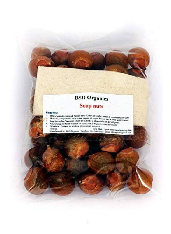 BSD Organics Soap Nuts (Reetha Areetha kunkudukaialu) 500 Grams  - Image 2