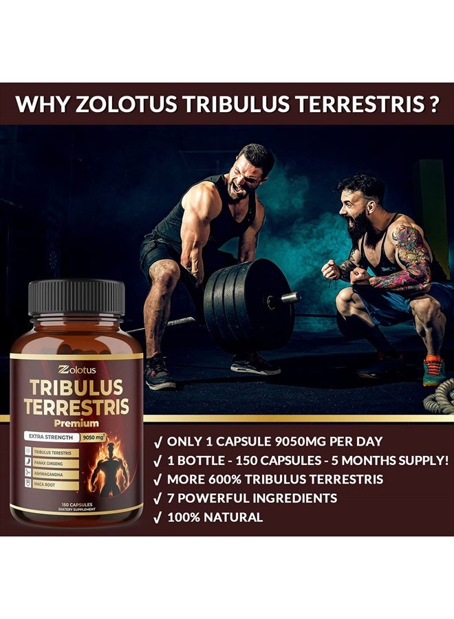 Zolotus مكمل تريبولوس تيرستريس للرجال والنساء، 9050 ملغ لكل كبسولة، إمداد لمدة 5 أشهر مع أشواغاندا، بانكس جينسنغ، ساو بالميتو، ماكا، شيلاجيت - Image 4