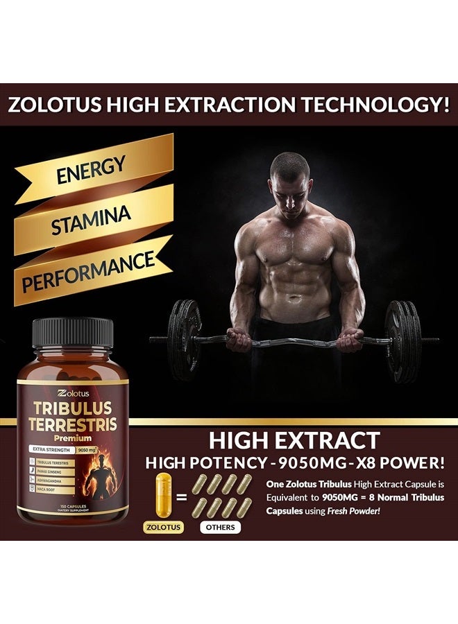 Zolotus مكمل تريبولوس تيرستريس للرجال والنساء، 9050 ملغ لكل كبسولة، إمداد لمدة 5 أشهر مع أشواغاندا، بانكس جينسنغ، ساو بالميتو، ماكا، شيلاجيت - Image 3