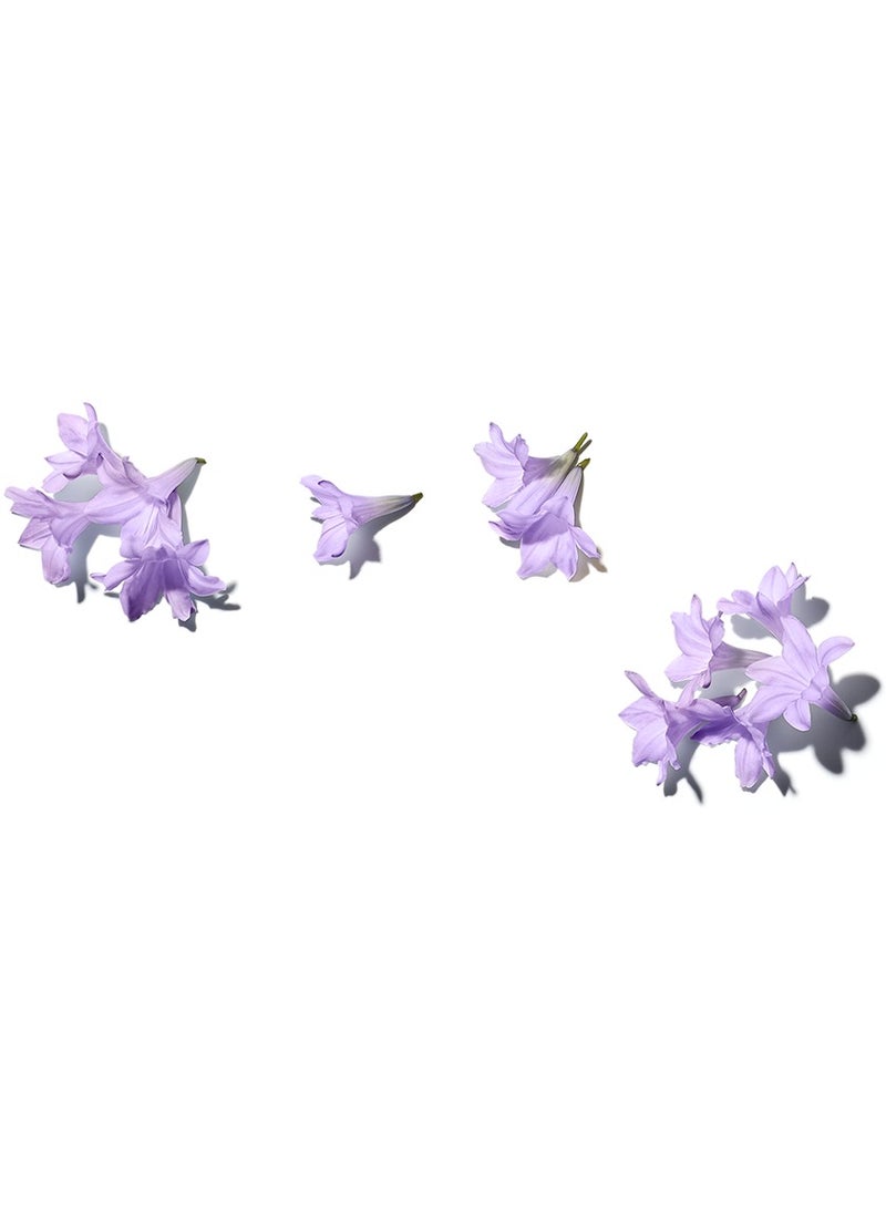 BENAMÕR Jacaranda Lip Balm – Nourishing Lip Care with Shea Butter, Argan Oil, Coconut & Almond | Softening, Moisturising Lip Treatment – 12ml - Image 3