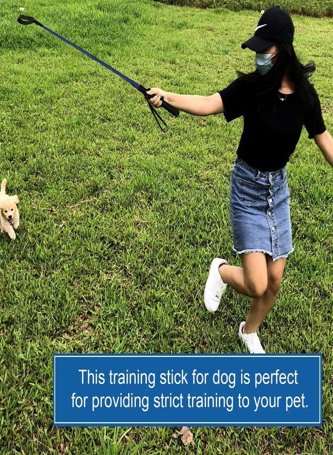 D&C PAWS Walking Stick/Training Stick for Dogs,Training Hunter Stick (Multicolor) (Multicolored, Pack of 4) - Image 5