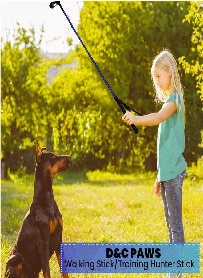 D&C PAWS Walking Stick/Training Stick for Dogs,Training Hunter Stick (Multicolor) (Multicolored, Pack of 4) - Image 4
