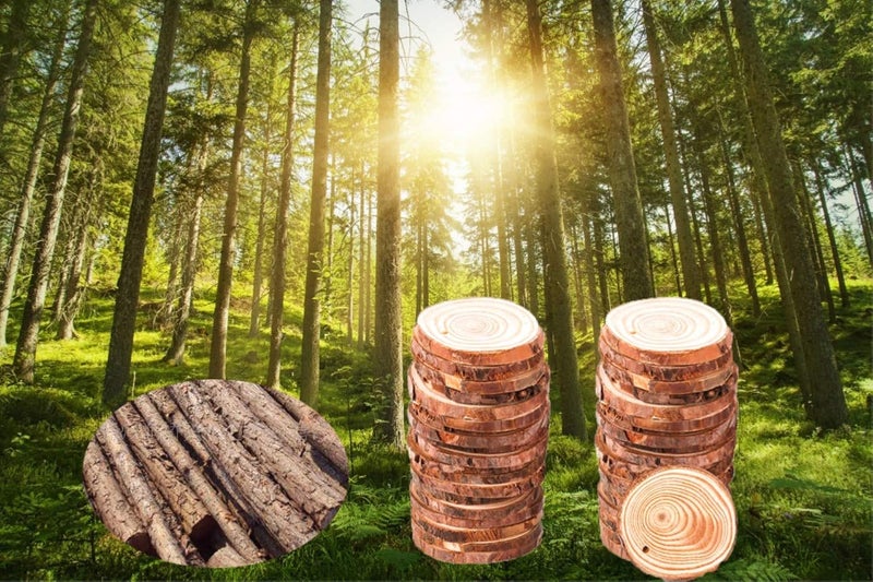 Tmflexe 30 Pcs Unfinished Predrilled with Hole Paintable Blank Natural Wood Slices2.4-2.8 Inches Christmas Festival Decoration Ornaments,DIY Crafts - Image 4