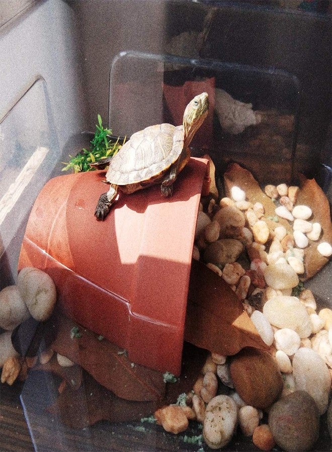 Flushbay Reptile Habitat Décor Hideouts Basking Platform for Aquatic Turtles Critter Cavern Log Hideaway for Tortoise Frog Aquarium Fish Lizard Bearded Dragon Hides and Caves - Image 3