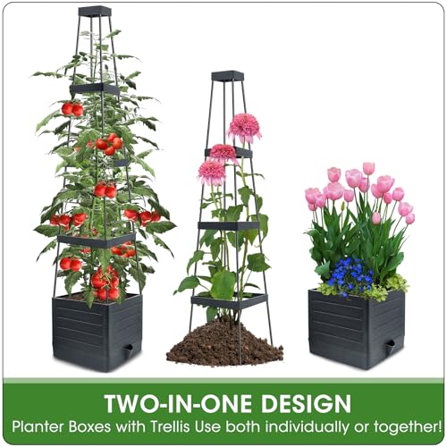 MQFORU Tomato Planter Boxes with Trellis Outdoor, 57" Self Watering Raised Garden Bed, Tall Square Planters for Indoor Plants, Large Tomato Cage for Patio, Use for Indoor Outdoor (4) - Image 4