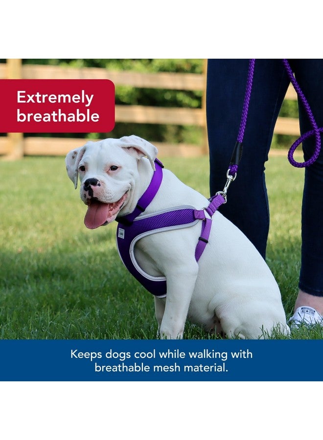 كوستال حزام كلب كوستال بيت كومفورت الناعم العاكس قابل للتعديل - حزام كلب لا يسحب للكلاب الصغيرة والكبيرة - أرجواني - 5/8 بوصة × 19 بوصة - 23 بوصة - Image 3