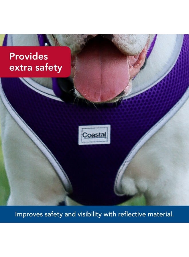 كوستال حزام كلب كوستال بيت كومفورت الناعم العاكس قابل للتعديل - حزام كلب لا يسحب للكلاب الصغيرة والكبيرة - أرجواني - 5/8 بوصة × 19 بوصة - 23 بوصة - Image 4