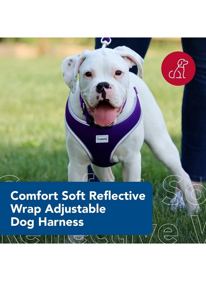 كوستال حزام كلب كوستال بيت كومفورت الناعم العاكس قابل للتعديل - حزام كلب لا يسحب للكلاب الصغيرة والكبيرة - أرجواني - 5/8 بوصة × 19 بوصة - 23 بوصة - Image 2