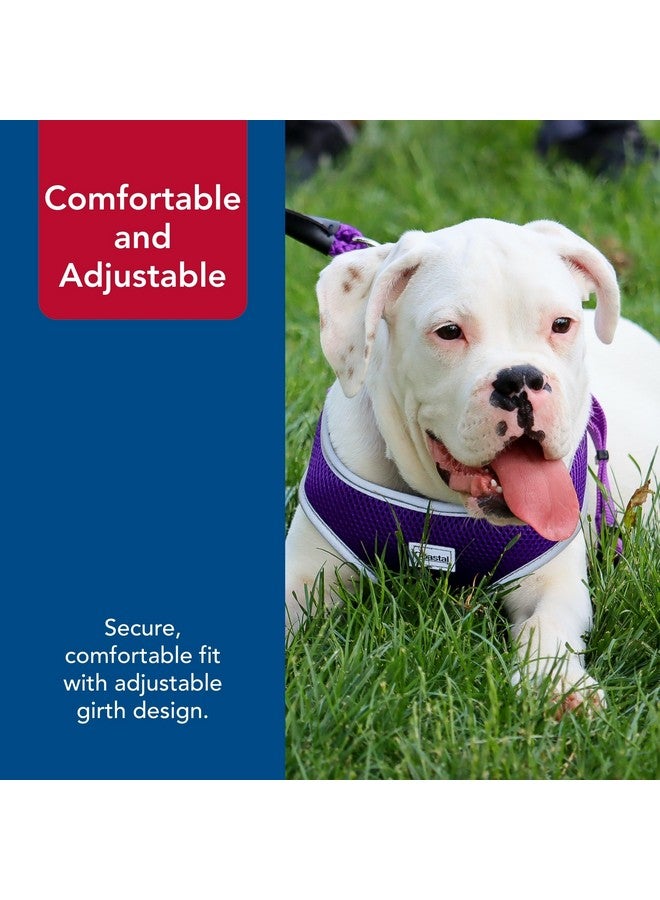 كوستال حزام كلب كوستال بيت كومفورت الناعم العاكس قابل للتعديل - حزام كلب لا يسحب للكلاب الصغيرة والكبيرة - أرجواني - 5/8 بوصة × 19 بوصة - 23 بوصة - Image 5