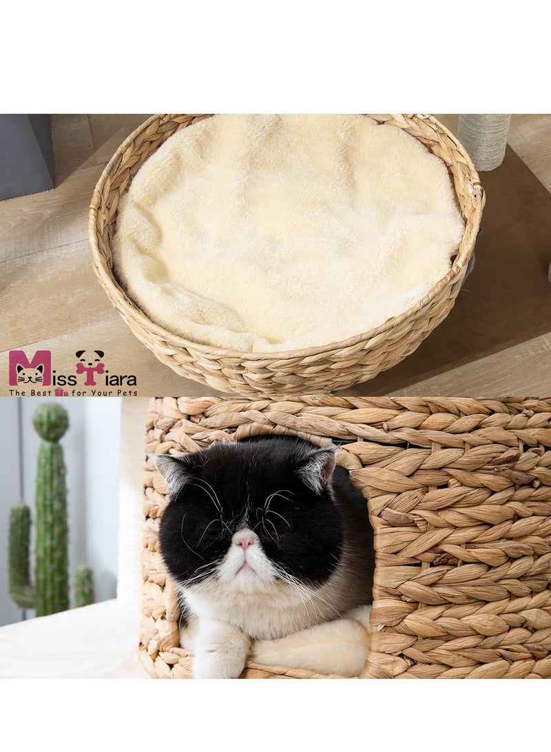 MissTiara Cat Tree Tower, Cat Nest, Cat bed, Modern Design Cat Furniture Scratching Tree for Indoor Cat, Large Cats, Real Natural Water Hyacinth Hand Woven Tall Wood Luxury Cat Condo, Cat House, Unique High-end Design Cat Activity Centre, Easy Clean - Image 4