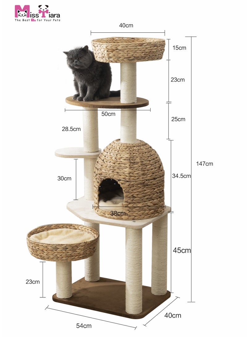 MissTiara Cat Tree Tower, Cat Nest, Cat bed, Modern Design Cat Furniture Scratching Tree for Indoor Cat, Large Cats, Real Natural Water Hyacinth Hand Woven Tall Wood Luxury Cat Condo, Cat House, Unique High-end Design Cat Activity Centre, Easy Clean - Image 5