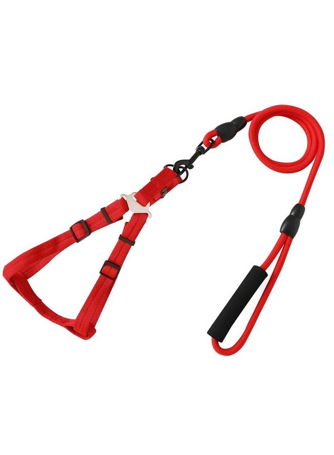 هارتس حزام طوق الكلب مع حزام قابل للتعديل | نسيج ديمين ممتاز | خطافات معدنية | Pdmgl-013-08 | قبضة مريحة | حزام مزدوج الخياطة مع حشوة ناعمة | أحمر - Image 2