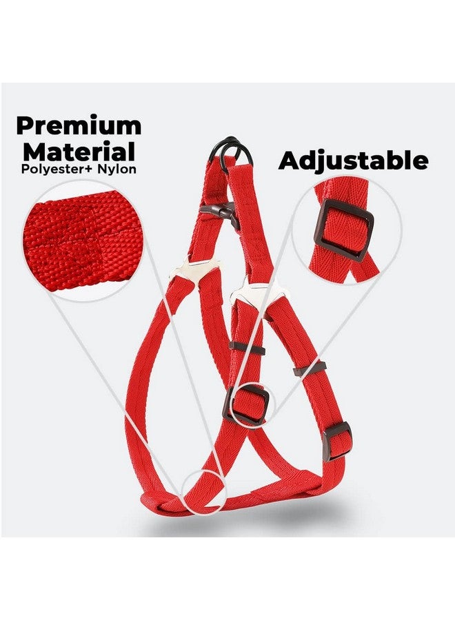 هارتس حزام طوق الكلب مع حزام قابل للتعديل | نسيج ديمين ممتاز | خطافات معدنية | Pdmgl-013-08 | قبضة مريحة | حزام مزدوج الخياطة مع حشوة ناعمة | أحمر - Image 5