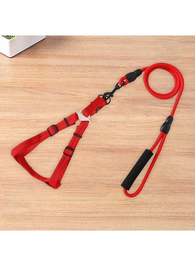 هارتس حزام طوق الكلب مع حزام قابل للتعديل | نسيج ديمين ممتاز | خطافات معدنية | Pdmgl-013-08 | قبضة مريحة | حزام مزدوج الخياطة مع حشوة ناعمة | أحمر - Image 1