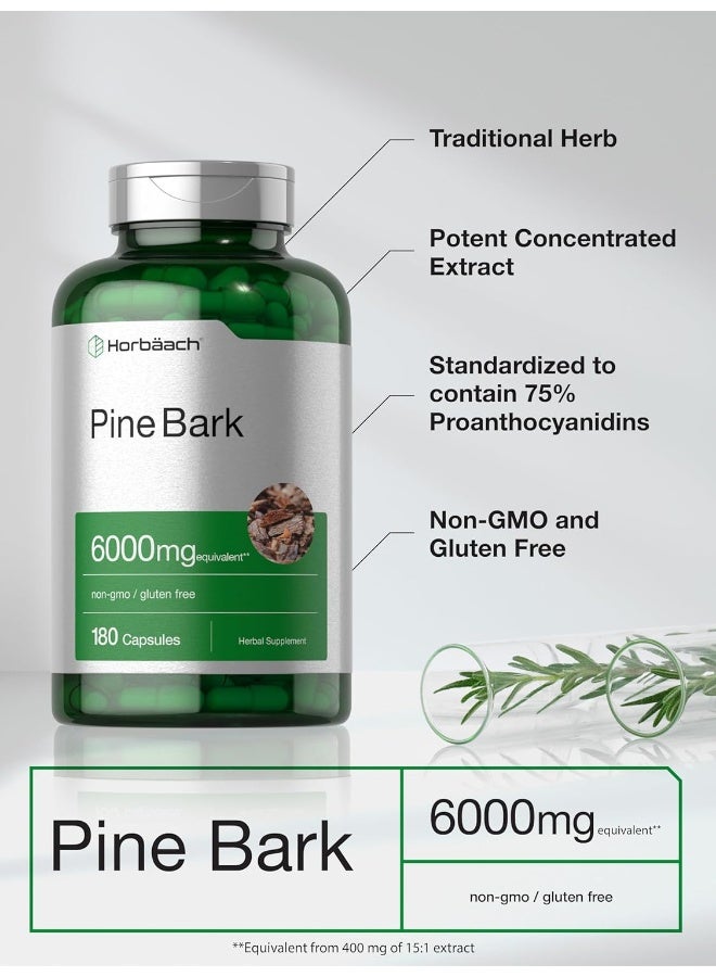 Horbaach Pine Bark Extract 6000 mg | 180 Capsules | Standardized to Contain 95% Proanthocyanidins | Non-GMO, Gluten Free Supplement - Image 4