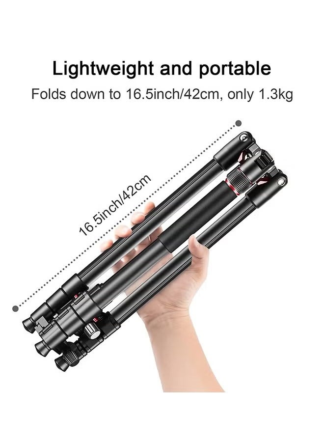 XiuWoo Camera Tripod, 2 In 1 Triop, Foldable Lightweight Aluminum Travel Tripod Stand with 360 Degree Ball Head for Vlog Nikon Canon Sony All DSLR and Digital Camera  - Image 2