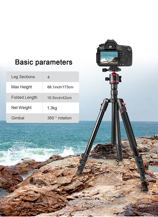 XiuWoo Camera Tripod, 2 In 1 Triop, Foldable Lightweight Aluminum Travel Tripod Stand with 360 Degree Ball Head for Vlog Nikon Canon Sony All DSLR and Digital Camera  - Image 4