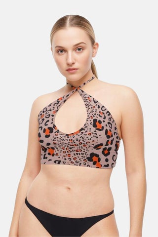 Women Animal Print Sleeveless Bikini Top, Multicolor - pzsku/Z997C3AC8DF3368885F18Z/45/1752658722/5ab60991-12e7-4cae-959e-dad9bbe61b93