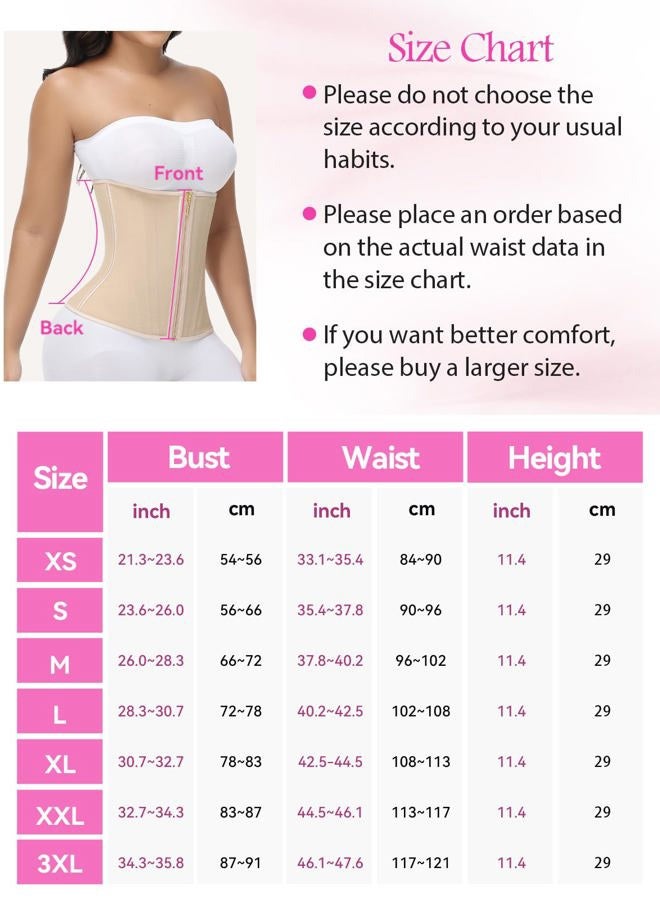 SHAPSHE Waist Trainer for Women Tummy Control Workout Waist Cincher Corset Shapewear Postpartum Body Shaper with Zipper Hook, Tan, S - Image 5