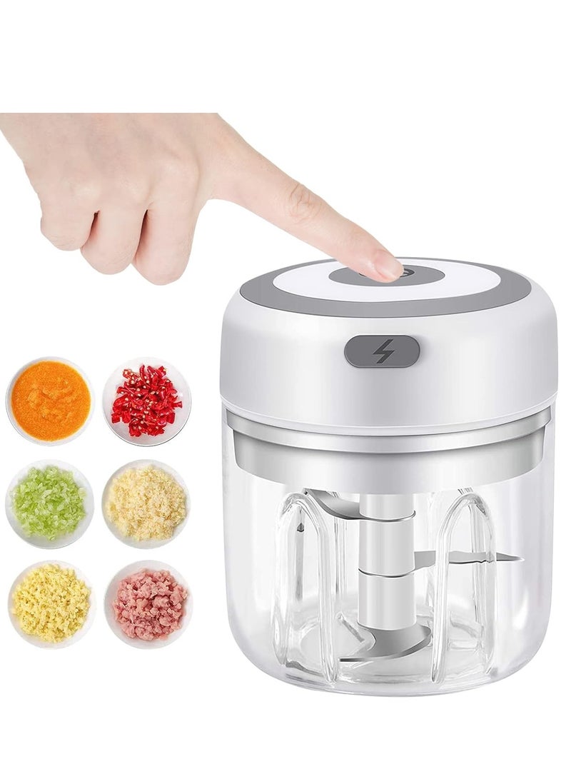 NIBEMINENT Electric Mini Garlic Chopper, 250ML USB Mini Food Chopper Garlic Mincer, Vegetable Chopper, Onion Chopper, Portable Small Food Processor for Garlic, Ginger, Chili, Vegetables - Image 1