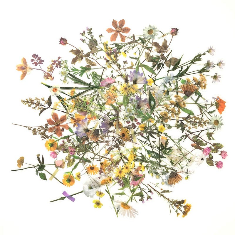 1000Art 120Pcs Natural Flower Stickers for Scrapbook Transparent Dried Resin Floral Stickers Decals Stickers for Journaling Planner Wrapping DIY Crafts Cards Album Water Bottles Phone Cases Laptops 