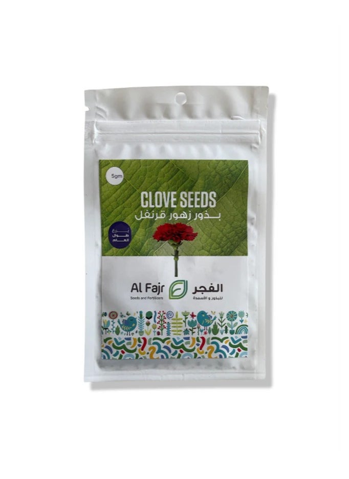 GROW - cloves seeds - Al Fajr - Image 1