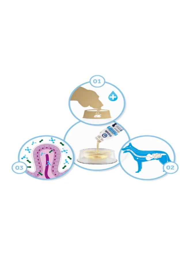 ORALADE ADVANCED GI+ PET REHYDRATION SUPPORT 500 ml - Image 2