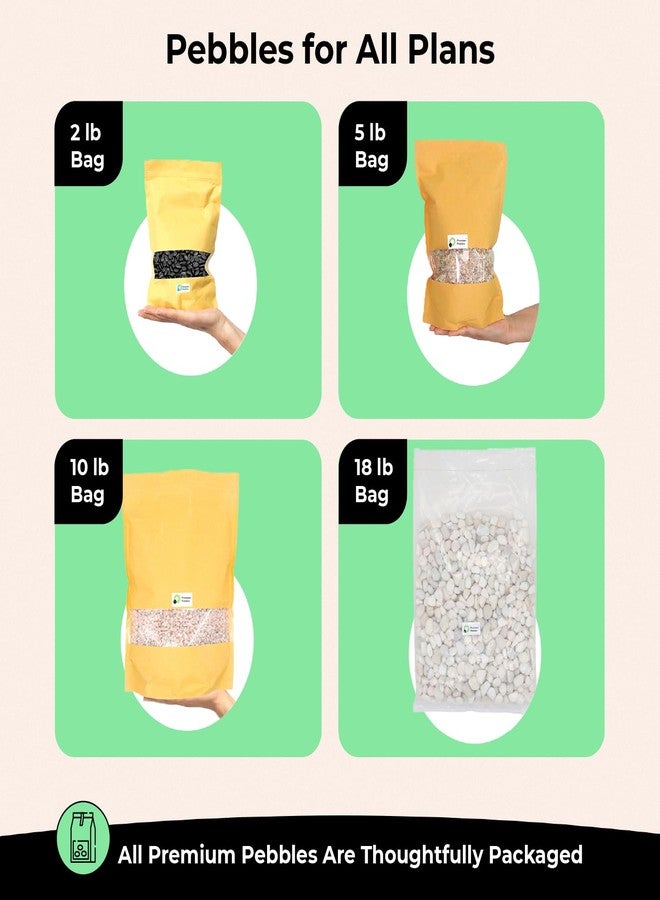 Premium Pebbles Rocks for Plants. Mixed Black/Earth Tones Color Pebbles. 1/5 Inch - 10 lbs for Garden, Crafting, Succulents, pots, Plants (Mini (0.2 Inch), Mixed Color - Black, 10) - Image 5