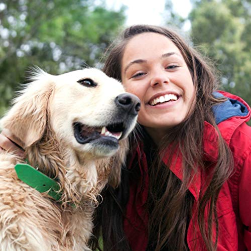 BestPet Pet Stroller Cat Dog Cage Stroller Travel Folding Carrier - Image 2