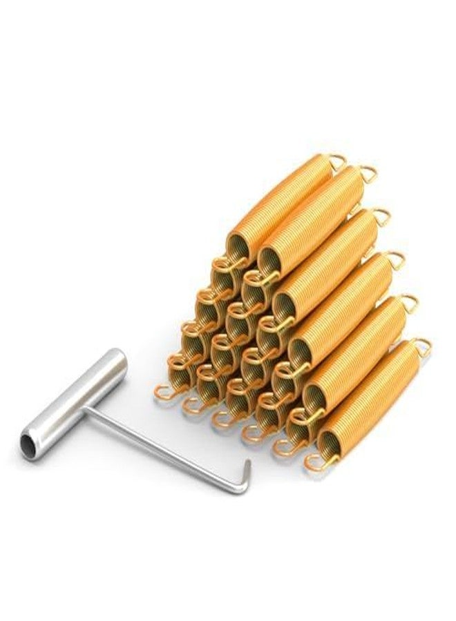 Blanketown Trampoline Springs 5.5 inch with Free T-Hook, Replacement Trampoline Springs, High Tensile, Durable Strength, Weather Resistant Commercial Size Springs-20 Pack - Image 1