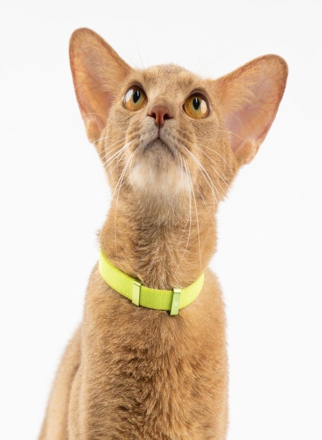 BuddyArmor Safety Cat Collar - U.S. IDA Gold Awarding Design, Stretch Elastic Quick Release, Non Breakaway - Light Weight for Kitten, Neck Fit 5.9'-11.8' for All Small Large Cat,S(Midnight Black) - Image 2